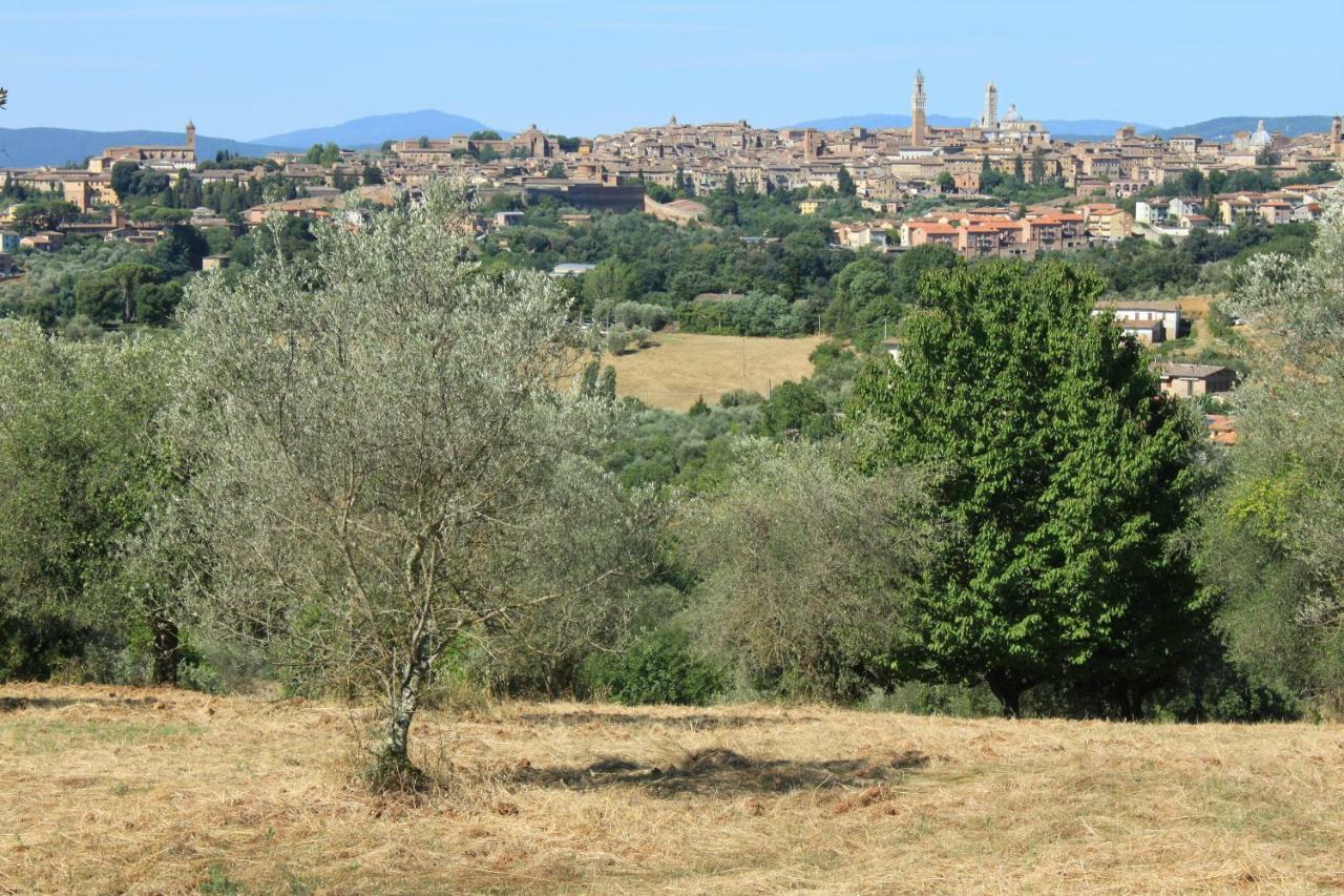 Vignano40 Villa Siena Eksteriør billede